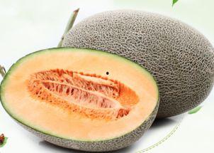 吃哈密瓜的感动,舌尖上的感动之旅