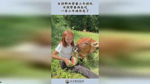 女孩子旅游吃瓜,女孩们的甜蜜旅行美食记