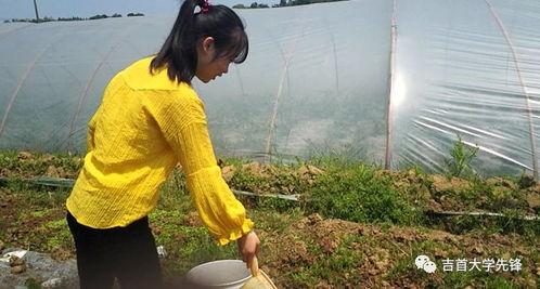 被拐路人吃瓜,揭秘拐卖背后的惊人真相