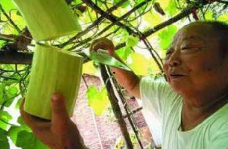 砍瓜能怎么吃,探索美味新境界