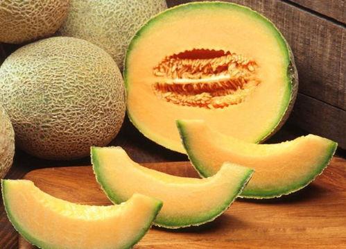 吃哈密瓜再吃海苔很苦,哈密瓜与海苔的奇妙苦味碰撞
