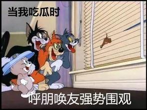 吃瓜当判官,吃瓜群众视角下的社会现象解析