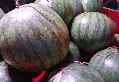 西瓜籽瓜怎么吃,解锁夏日美味新境界