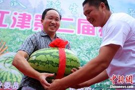 王王吃瓜,揭秘娱乐圈背后的那些事儿