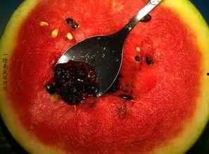 带你吃瓜奇葩衣物,带你领略“带你吃瓜”奇葩衣物风采