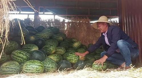 吃瓜群众大哭难过