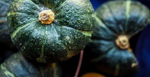 吃瓜的胖吃的作品,吃瓜胖子的美食探秘之旅