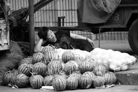 辉县吃瓜事件经过,一场网络舆论的风波与反思