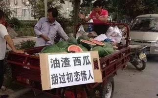 辉县吃瓜事件经过,一场网络舆论的风波与反思
