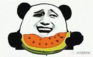 史莱克学院吃瓜群众,吃瓜群众眼中的欢乐喜剧世界