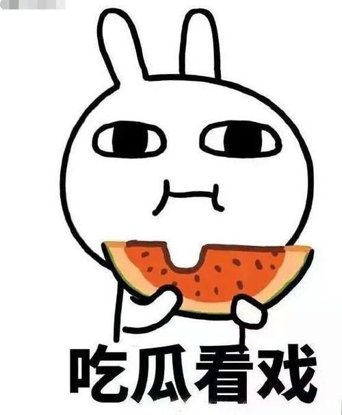 婳婳吃瓜,揭秘娱乐圈幕后故事