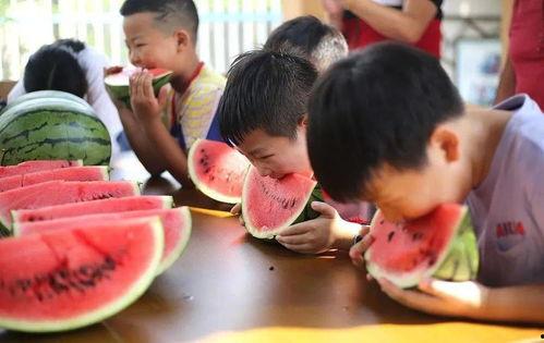 吃瓜狂欢日,全民娱乐盛宴，揭秘娱乐圈幕后风云