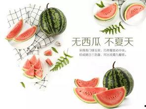 吃瓜狂欢日,全民娱乐盛宴，揭秘娱乐圈幕后风云