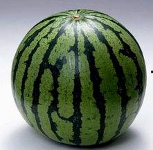 各种吃的瓜图片大全