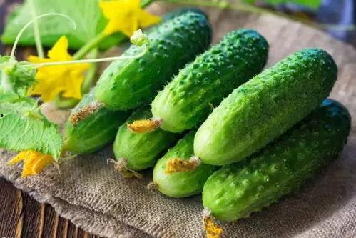 佳兴吃瓜,揭秘娱乐圈幕后故事