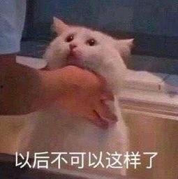 吃瓜群众朝阳染,揭秘吃瓜群众的娱乐盛宴