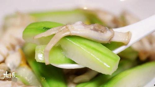 吃清水煮瓜视频播放,简单美味，健康养生新选择