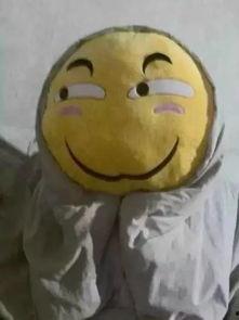 吃瓜表情包枕头图片,趣味生活新宠