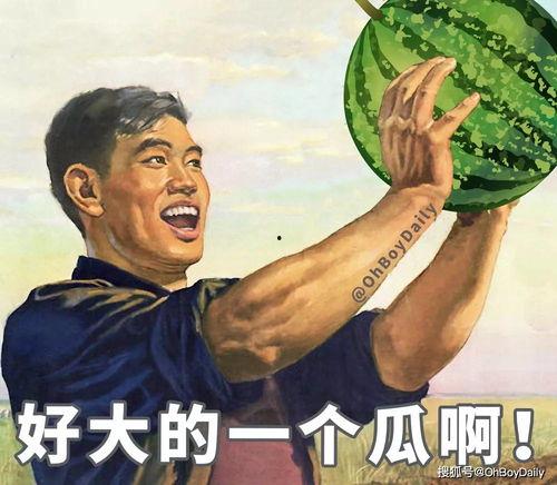 阿姆fred桑吃瓜,阿姆Fred桑的瓜田奇遇记