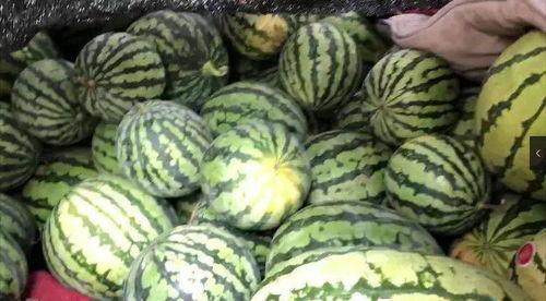 瓜哥瓜哥带我吃瓜,揭秘娱乐圈那些鲜为人知的幕后故事