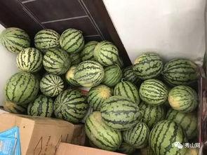 色比吃瓜群,网络社交新现象背后的故事