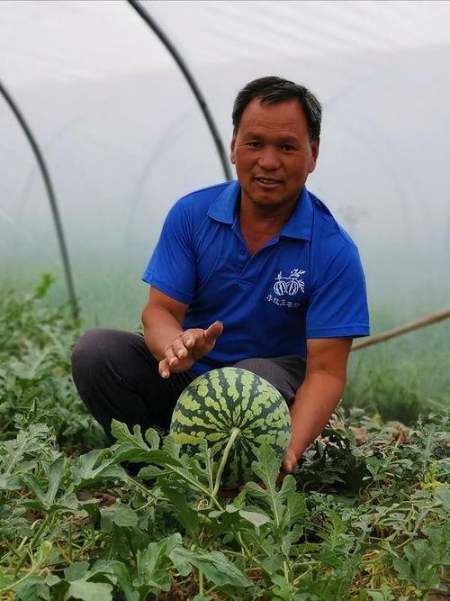 焦作最新吃瓜,揭秘背后惊人真相！