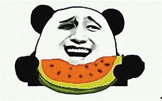 吃瓜群众的手工,手工打造的生活趣味与智慧