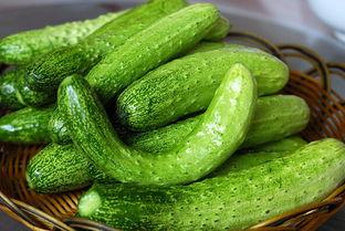 龙戈吃瓜,揭秘娱乐圈幕后故事