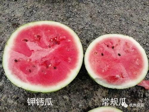 生瓜吃会得什么病