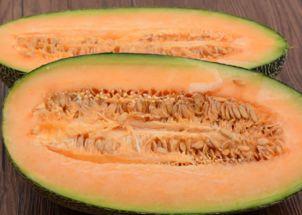 青年吃哈密瓜,青年们的哈密瓜美食之旅