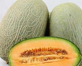 青年吃哈密瓜,青年们的哈密瓜美食之旅