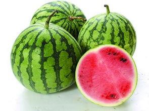 吃瓜什么瓜不能吃,哪些“吃瓜”不能吃，食品安全知识大普及