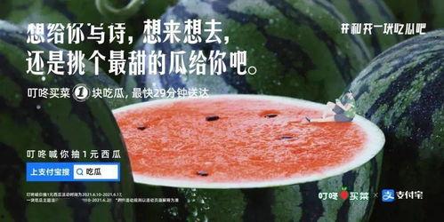 拍照吃瓜文案,揭秘拍照吃瓜的趣味瞬间