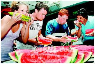 外国人跳舞吃瓜,外国人跳舞吃瓜，展现多元文化魅力