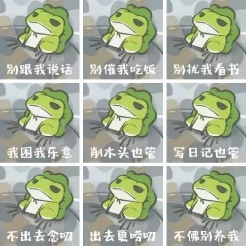 吃瓜蛙君都能搜什么,探索其搜索功能的无限可能