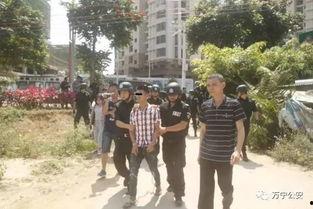 高密砍人案吃瓜,真相背后，吃瓜群众如何解读社会热点