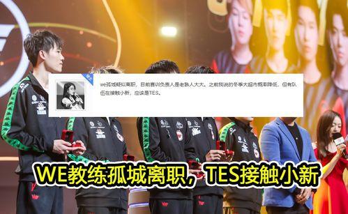 ttg直播吃瓜,揭秘娱乐圈幕后故事