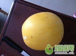 太阳瓜怎么吃图片,从切片到创意料理