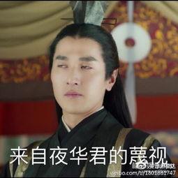 鉴定完毕男主吃瓜