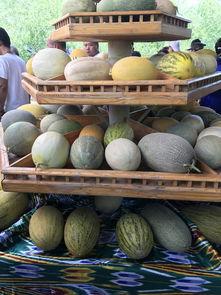新疆吃瓜大赛