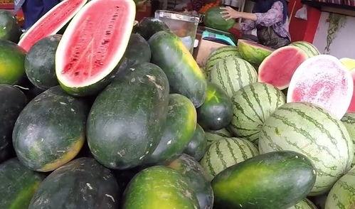 中国喜欢吃瓜,瓜果飘香，全民“吃瓜”文化盛行
