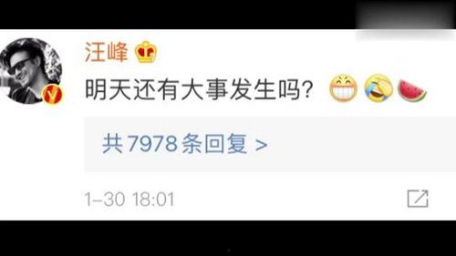 娱乐吃瓜文字,揭秘明星幕后故事