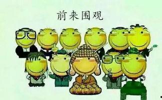 吃瓜群众看演习