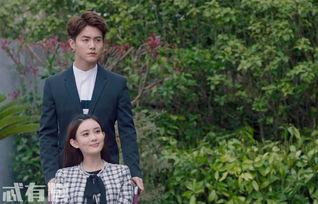 小武吃瓜小说,揭秘娱乐圈背后的秘密与真相