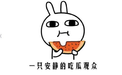 吃瓜了的意思是什么,揭秘“吃瓜群众”背后的真相与趣味