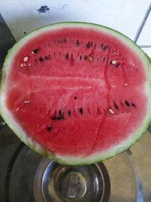 吃瓜号哪里看,带你轻松掌握网络热点动态