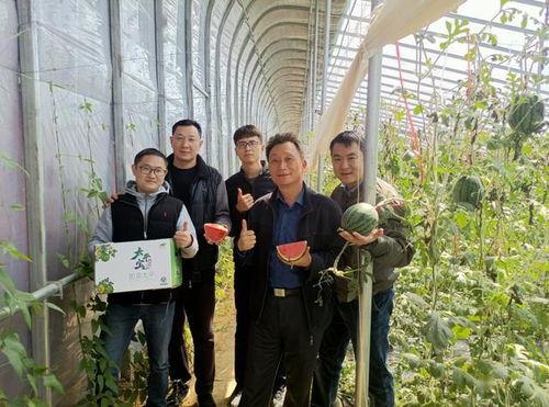 山东大区吃瓜群众,吃瓜群众热议风云变幻