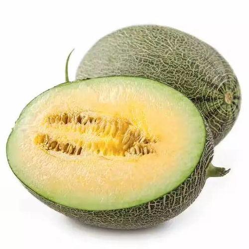 甜包瓜如何吃,甜包瓜的多重美味吃法探索