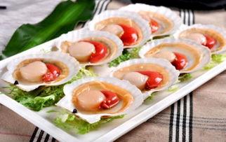 吃扇贝后能不能吃哈密瓜,食用搭配的奇妙之旅