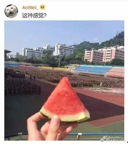 军训追吃瓜学长,学长追瓜背后的浪漫故事